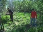 Marking out mountain bike trail.