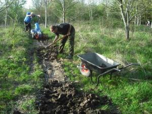 Digging up old trail.