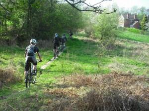 MBSwindon riders in the Wyre Forest.