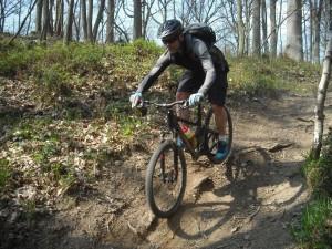 Riding at Wyre Forest.