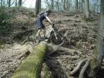 MB Swinon rider in the Wyre Forest.