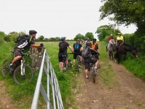 Mountain bikers talking to horse riders.