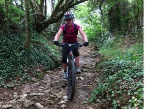 Mountain biker on rocky track.