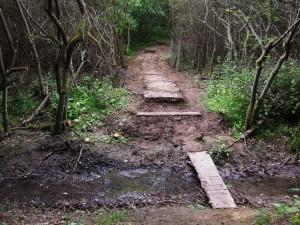 Rock steps and path.