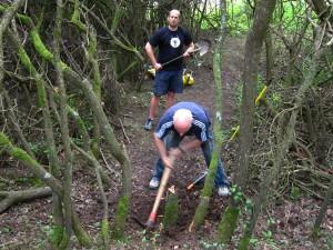 Cutting new line through trees.