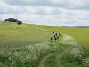 Mountain bikers near Overton.