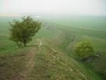 Wansdyke.