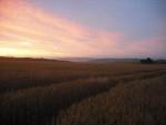 Cleeve hill sunset.