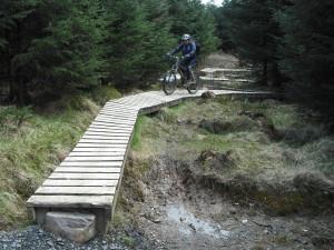 Wood section at Grizedale.