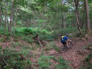 Mountain biking at the Wyre Forest