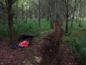 Trail building in dusk.