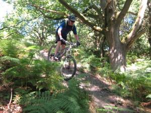 Riding down a hill in the Forest of Dean.