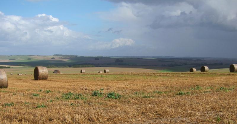 View from Wansdyke in Wiltshire.