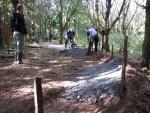 New berm taking shape in the woods behind the Nationwide.