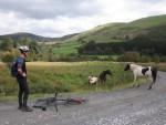 View of hills in Irfon valley.