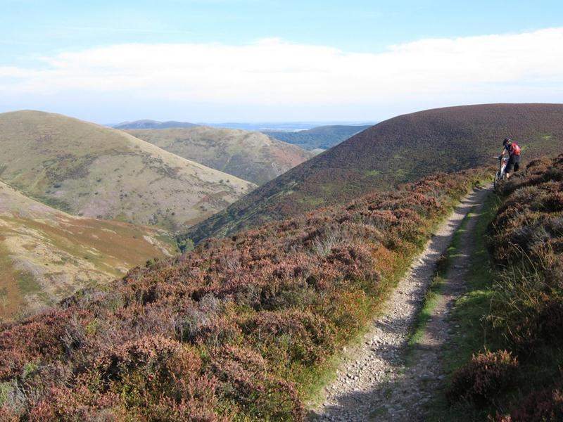 Ashes Hollow on Long Mynd.