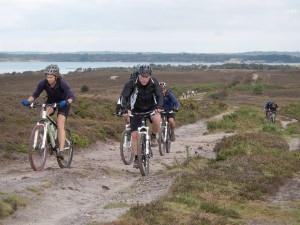 Mountain bikers on Isle of Purbeck.