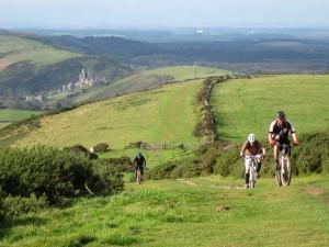 Brenscombe hill near Corfe Castle.