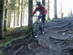 Rooty drop at Forest of Dean