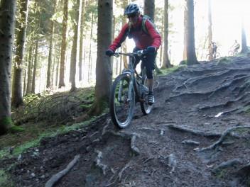 Rooty drop at Forest of Dean