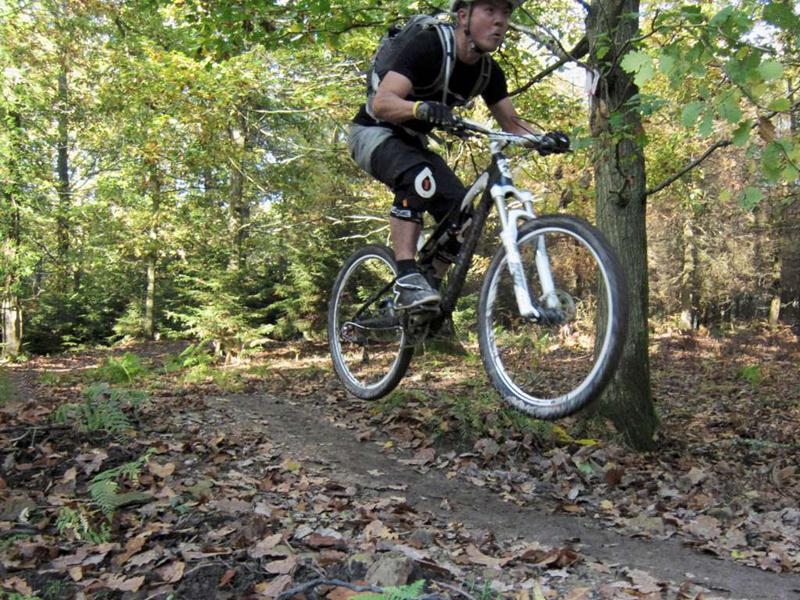 forest of dean bike trails