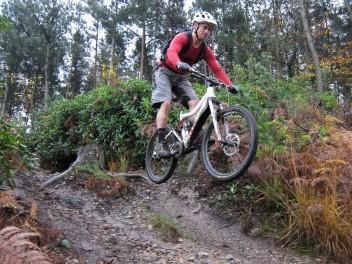 Singletrack at Swinley Forest.