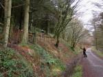 The Wall at Afan