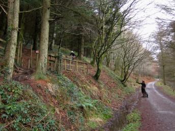 The Wall at Afan