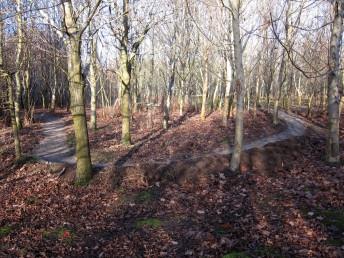 Newly surfaced mountain bike trail.