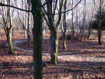 Newly surfaced trail in Wiltshire.