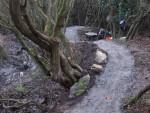 New trail at Croft Woods in Wiltshire.