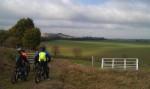 Scenic view on the Marlborough Downs.