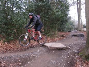 Rock steps on the Nova Trail at Ashton Court.