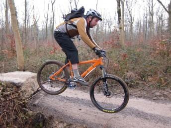 Bristol Trails group at Leigh Woods.