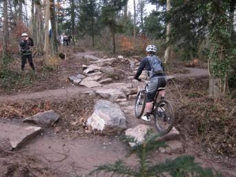 Rock step climb at Yer Tiz trail in Leigh Woods, Bristol.