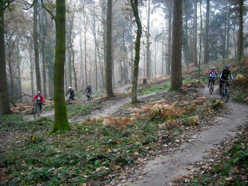 Verderer's climb in the Forest of Dean.