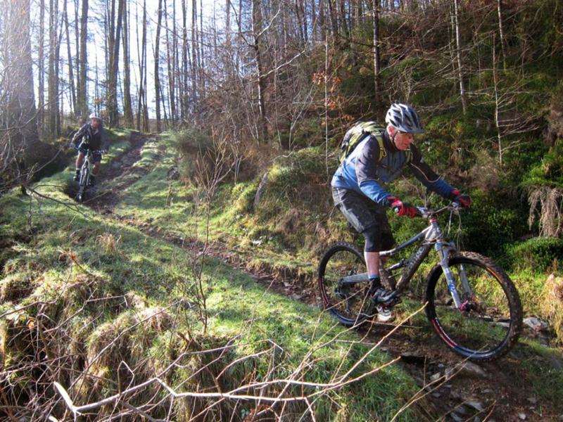 Brechfa West mountian biking.