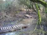 Flood at Croft Woods in Swindon.