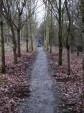 Resurfaced section at the Croft Trail.