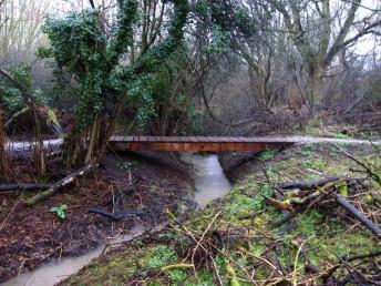 Bridge at mountain bike trail in Swindon.