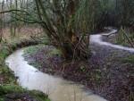 Mountain bike trail next to stream.