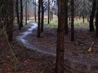 Mountain bike trail rollers.