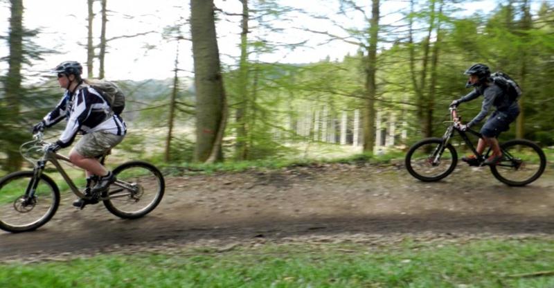 Women riders in the Forest of Dean.