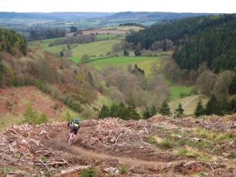 Hopton Woods mountain bike trail.