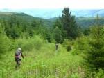 Mountain biking in mid Wales.