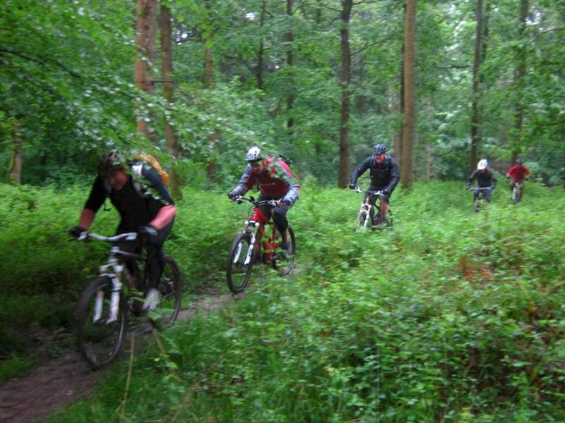 Download this Ride Report Tom Wet Woodland Wonder Forest Dean picture