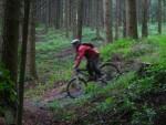 Muddy descent in the Forest of Dean.