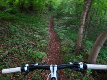 Single track in woods near Stroud.
