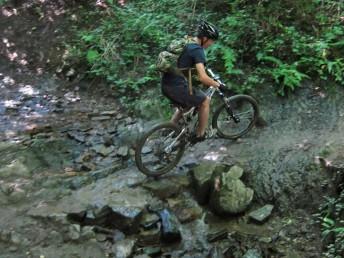 Rocky section in the Mendips.