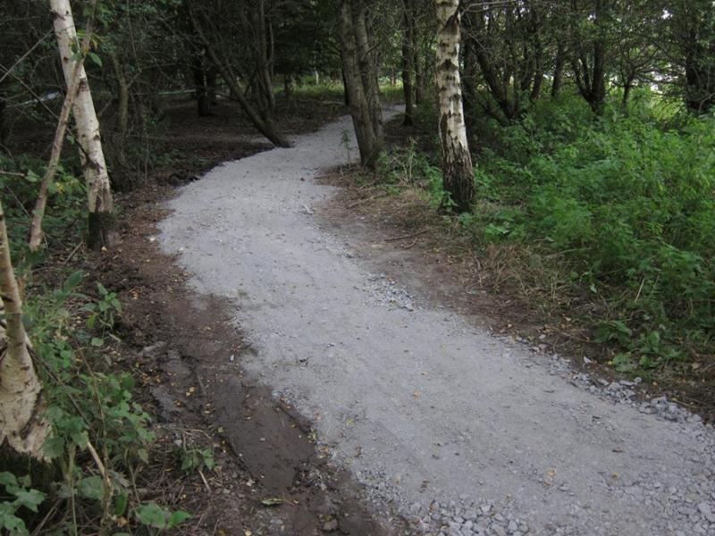 Repaired mountain bike trail.